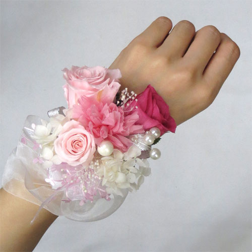 �v���U�[�u�h�t�����[�@���X���b�gM�@�s���N